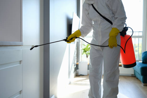 Best Residential Mold Removal  in North Valley, NM